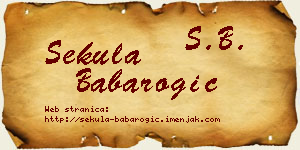 Sekula Babarogić vizit kartica